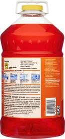 Pine-Sol Orange All-Purpose Cleaner in Orange 