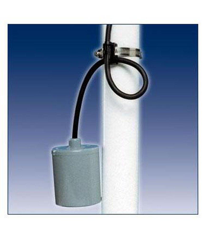 Pump Switch Down with Plug and 10 ft. Cable 