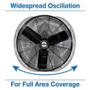 Air King America Inc 3-Blade Oscillating Wall Mount Portable Fan 