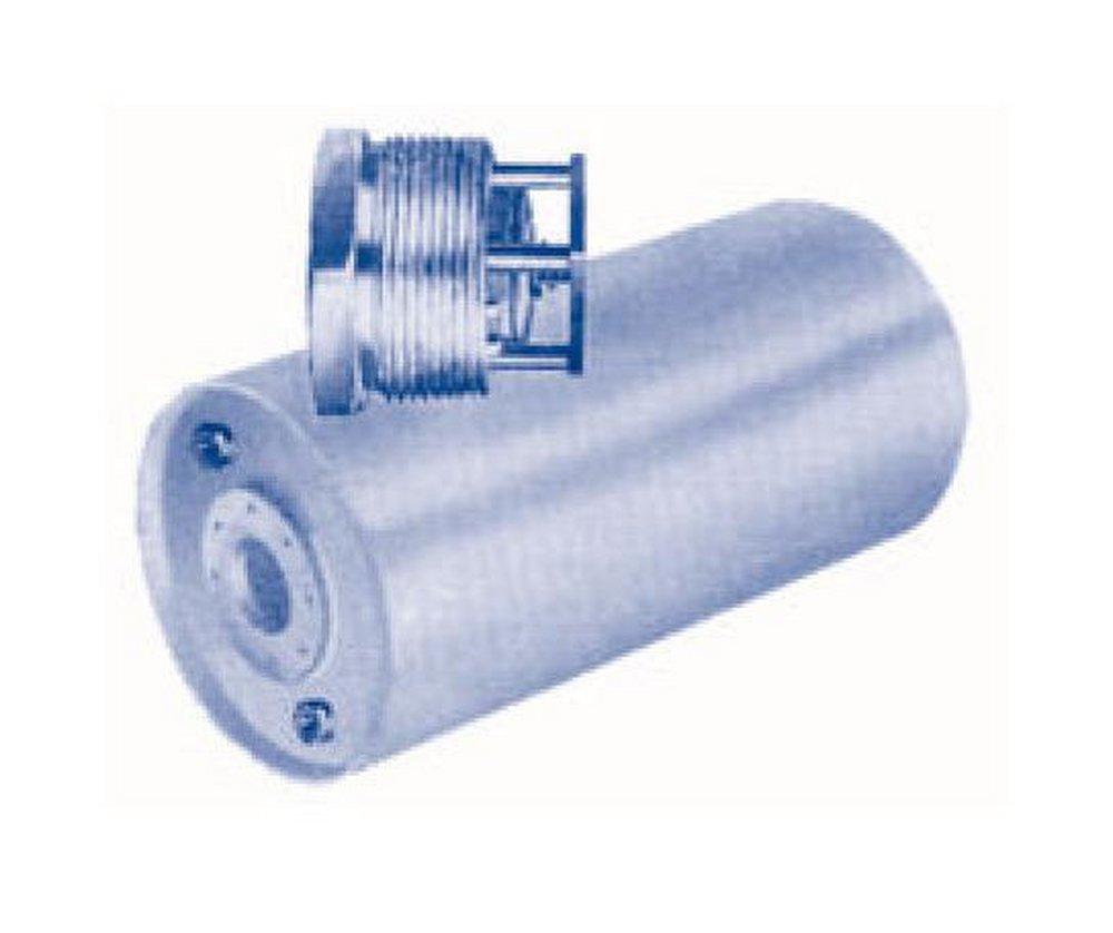 Durabla Fluid MNPT 303 Stainless Steel BSSV Vacuum Breaker 