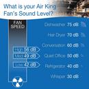Air King America Inc Fan 