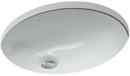 Undermount Bathroom Sink with Overflow in Ice™ Grey