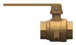 2 in. Straight Lever Handle