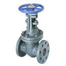 NIBCO Cast Iron Full Port Flanged Gate Valve 