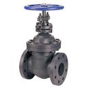 2 in. Cast Iron Full Port Flanged Gate Valve