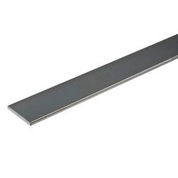 1/4 in. x 2-1/2 ft. ABS Flat Bar