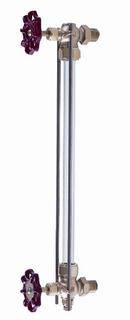 Apollo Valves 1/2 in. Water Gauge With Standard Glass & Rod Bronze 