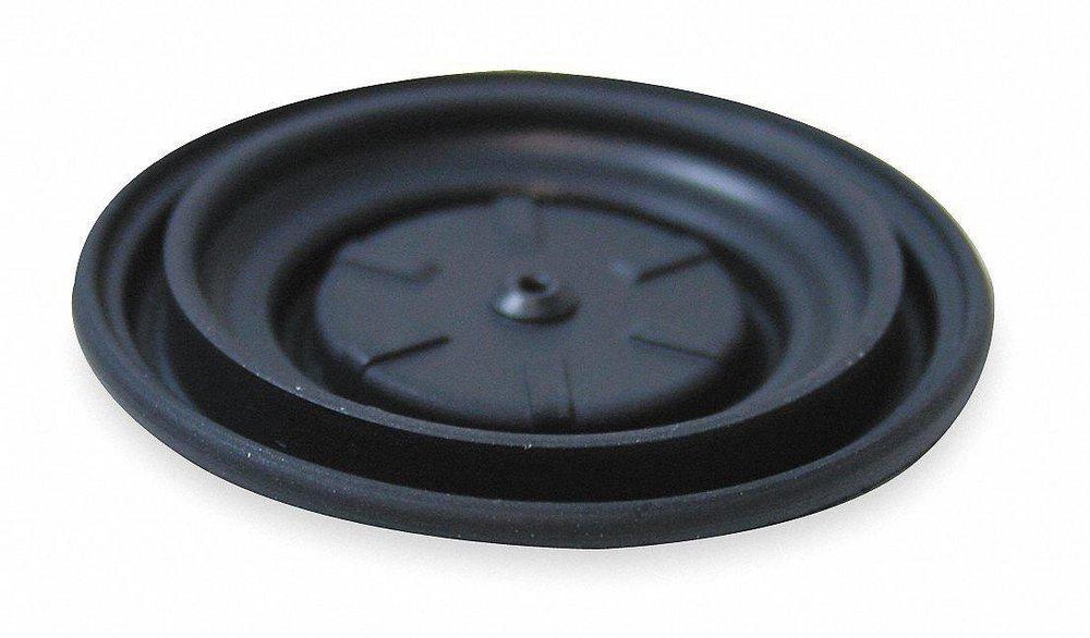 Acorn Engineering Diaphragm Pump 