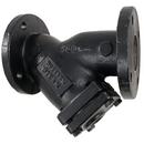Mueller Steam Specialty Wye Cast Iron Flanged Valve Strainer 