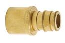 2-1/2 in. Brass PEX Expansion x 2-1/2 in. Female Sweat Adapter
