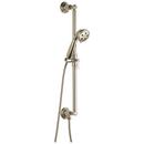 Brizo Polished Nickel Multi Function Hand Shower 