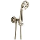 Multi Function Hand Shower in Polished Nickel