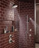 Brizo Luxe Nickel/Matte Black 2 gpm Thermostatic Shower Only (Trim Only) 