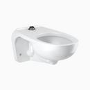 Sloan White Elongated Wall Mount Toilet Bowl 