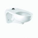 Elongated Wall Mount Toilet in White