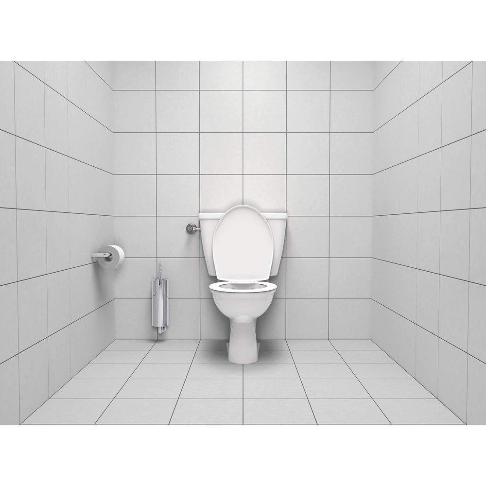 GROHE StarLight Chrome 15-11/16 in. Toilet Brush Set 