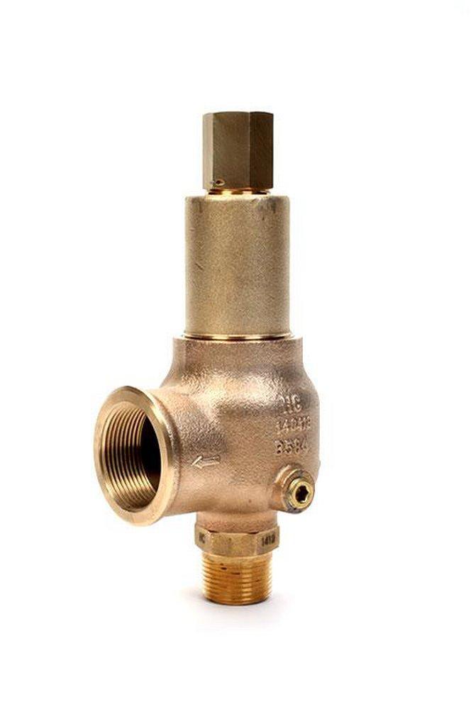 FPT 200# Relief Valve 