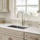 Pfister Polished Nickel Single Handle Pull Down Kitchen Faucet 