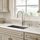 Pfister Polished Nickel Single Handle Pull Down Kitchen Faucet 