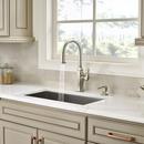 Pfister Polished Nickel Single Handle Pull Down Kitchen Faucet 