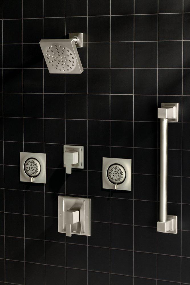 Moen Brushed Nickel Body Spray Trim 