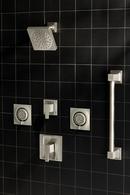 Moen Brushed Nickel Body Spray Trim 