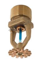 Globe Fire Sprinkler Corporation Brass 3/4 in. Brass Quick Response Pendent Sprinkler Head 