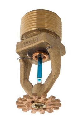 3/4 in. 155F Brass Quick Response Pendent Sprinkler Head
