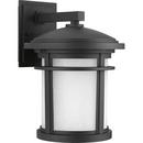 17W 1-Light LED Outdoor Wall Sconce in Black