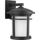 Progress Lighting Black 1-Light 100W Medium Wall Lantern 