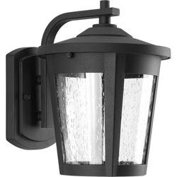 9W 1-Light LED Outdoor Wall Sconce in Black