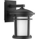 Progress Lighting Black 9W 1-Light LED Outdoor Wall Sconce 