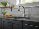 Delta Faucet Arctic Stainless Single Handle Pull Down Kitchen Faucet 