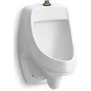 KOHLER White Wash Out Urinal 
