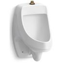 KOHLER White Wash Out Urinal 