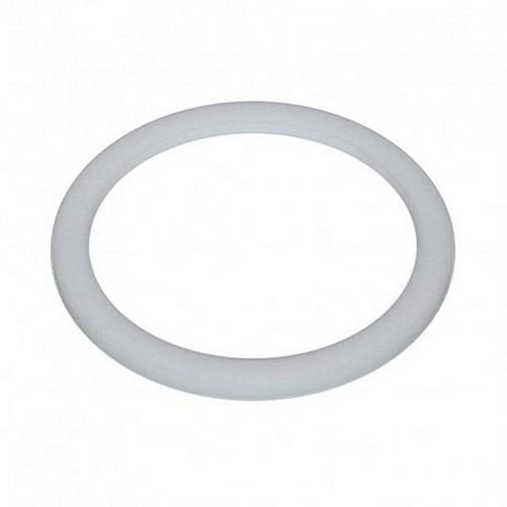 Pulsafeeder PTFE Gasket 