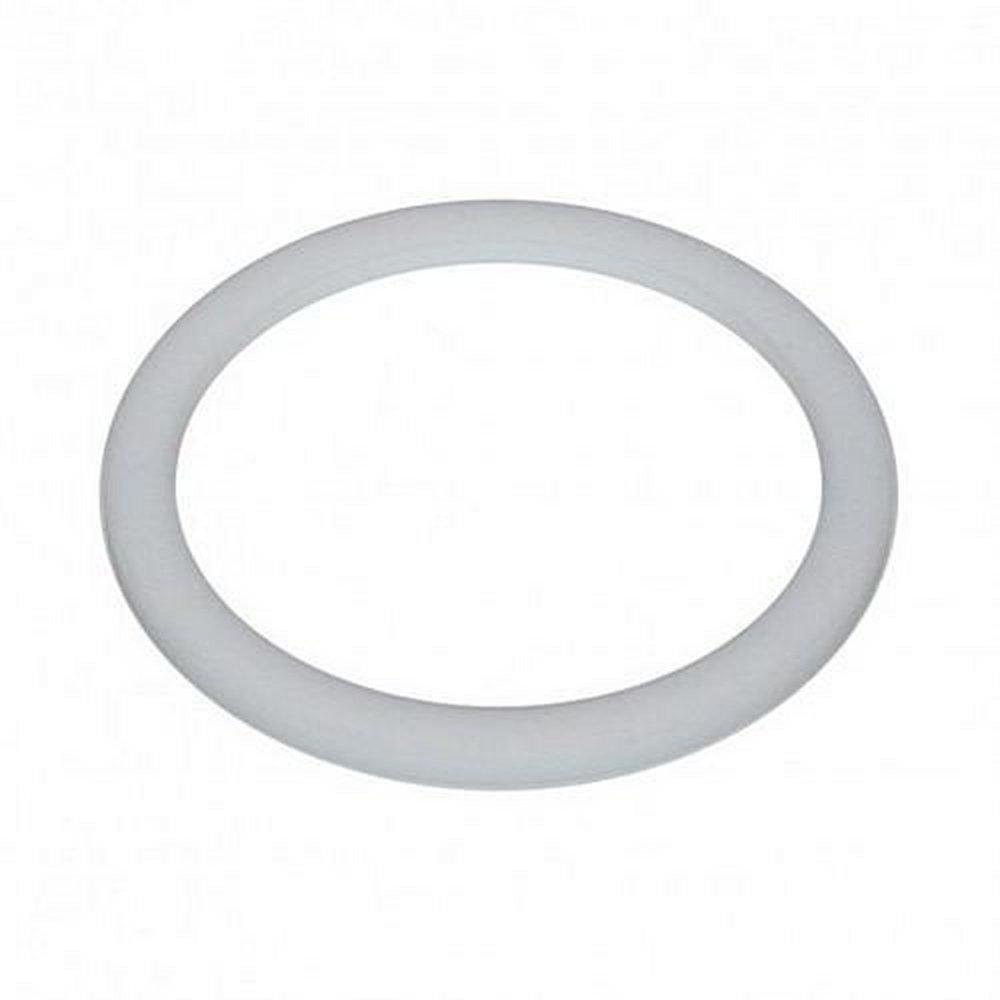 Pulsafeeder PTFE Gasket 