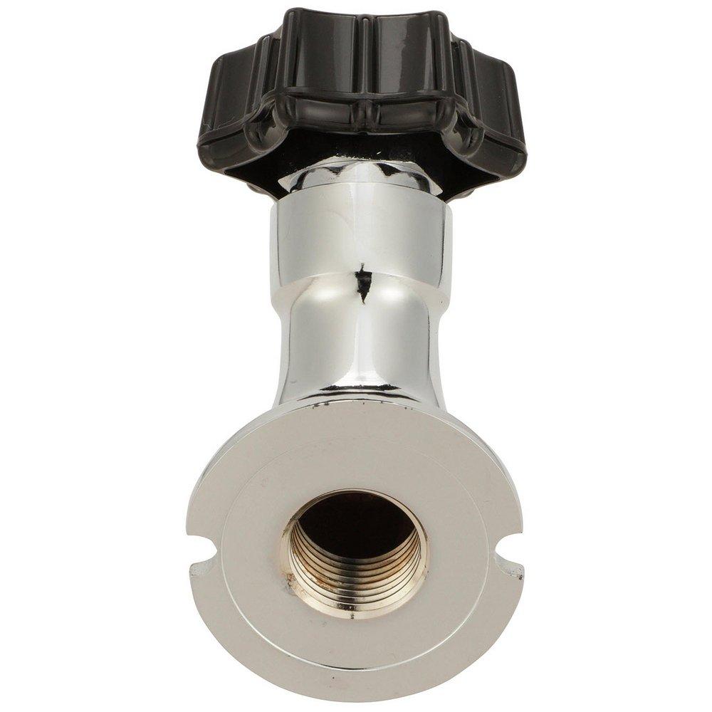 Zurn Polished Chrome Bronze Sillcock 