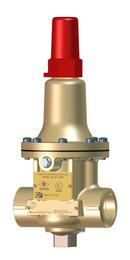 3/4 in. Cast Bronze and Stainless Steel NPT 400# 180F Pressure Relief Valve