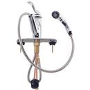 Pfister Polished Chrome Single Handle Pull Out Kitchen Faucet 