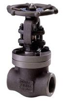 3/4 in. Forged Steel Standard Port Threaded Gate Valve