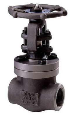 3/4 in. Forged Steel Reduced Port Threaded Gate Valve