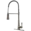 Pfister Stainless Steel Single Handle Pull Down Kitchen Faucet