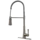 Pfister Stainless Steel Single Handle Pull Down Kitchen Faucet 