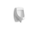 KOHLER White Wash Out Urinal 
