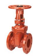 3 in. Flanged Ductile Iron Grooved Resilient Wedge Gate Valve