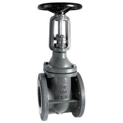 10 in. Gray Iron Flanged x Mechanical Joint Resilient Wedge Gate Valve