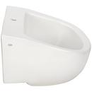 Zurn White 28 x 22 x 16-3/4 in. Wall Mount Healthcare Sink 
