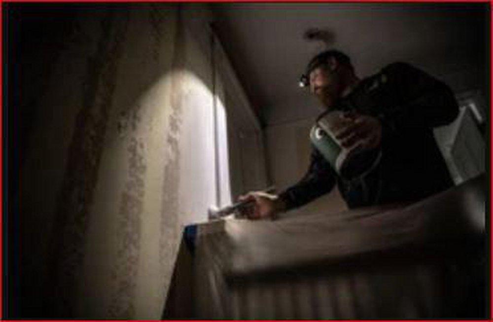 Coast Products 3.6 oz. LED Twisted Headlamp Focus 