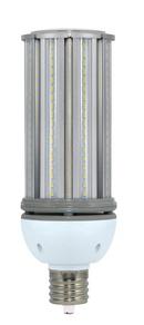 54W LED Light Bulb with Mogul Base